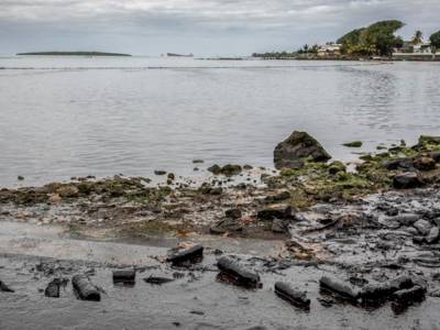 «Вылились тысячи тонн нефти»: на Маврикии произошла экологическая катастрофа