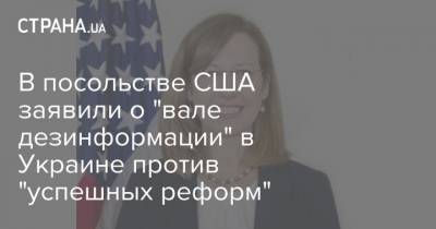 В посольстве США заявили о "вале дезинформации" в Украине против "успешных реформ"
