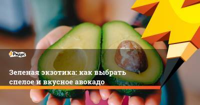 Зеленая экзотика: как выбрать спелое и вкусное авокадо