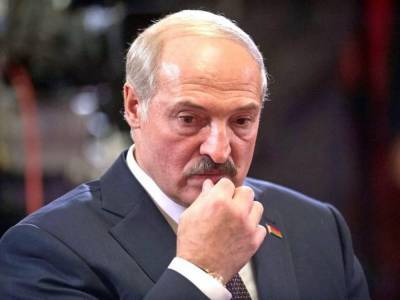 Выборы в Беларуси: Глава комиссии в Витебске заявил, что протокол переписали в пользу Лукашенко - СМИ
