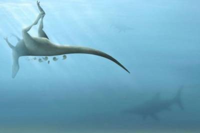 В Великобритании ученые нашли останки ранее неизвестного динозавра