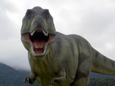 Палеонтологи открыли новый вид динозавров