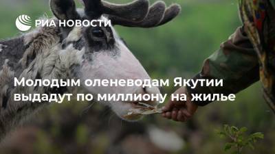 Молодым оленеводам Якутии выдадут по миллиону на жилье