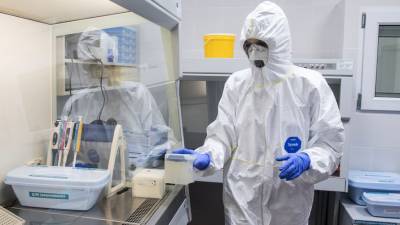 В России провели больше 31,5 млн тестов на коронавирус