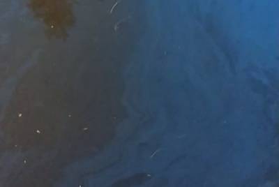 Нефтяное пятно в акватории Невы будут контролировать с помощью дрона