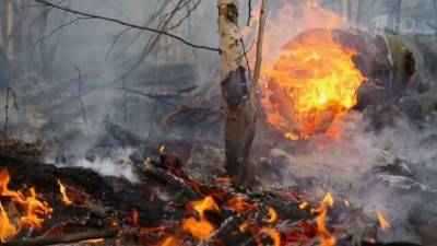 В 17 российских регионах сохраняется сложная обстановка с природными возгораниями