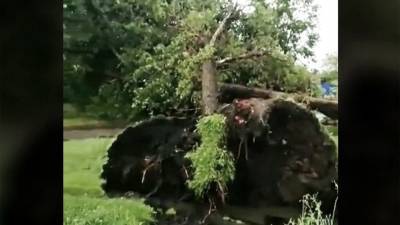 Порывы ветра сносили крыши, строительные краны и ломали деревья — стихия прошлась по нескольким районам Приморья