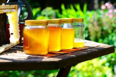Роскачество нашло антибиотики в мёде 19 производителей