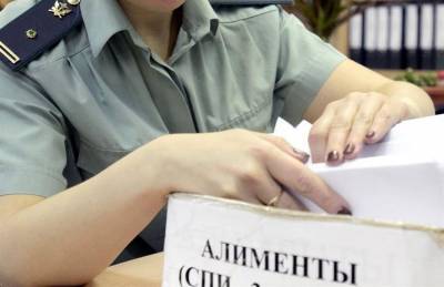 Жительнице Ульяновска грозит год тюрьмы за неуплату алиментов