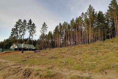 Администрация Читинского района объяснила удобством для людей выбор участка леса под ФАП
