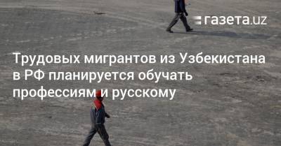 Трудовых мигрантов из Узбекистана в РФ планируется обучать профессиям и русскому
