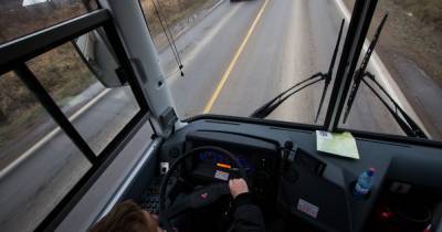 В регионе изменят маршрут одного автобуса, чтобы люди смогли подъезжать к ТРЦ "Молл Балтии"