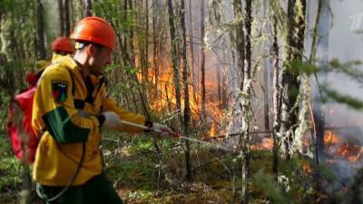 В российских регионах продолжается борьба с природными пожарами, для тушения даже вызывают искусственные дожди