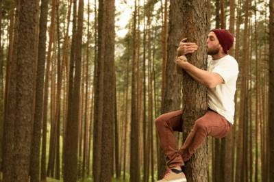 Финляндия проведет первый всемирный чемпионат по обниманию деревьев: правила и условия конкурса
