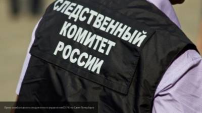 СК: замглавы Колпино Жукова задержали за взяточничество