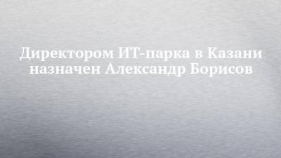 Директором ИТ-парка в Казани назначен Александр Борисов