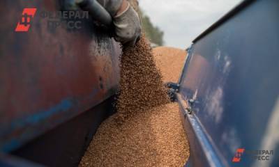 Красноярские хозяйства увеличили поставки зерна в регионы России
