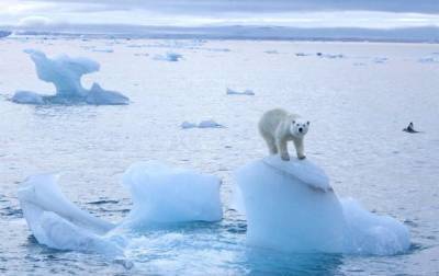 Температура в Арктике поднялась до рекордного уровня