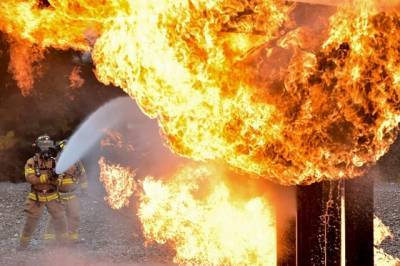 В Калифорнии пылает Национальный заповедник - огонь охватил 4 тысячи гектаров территории - Cursorinfo: главные новости Израиля