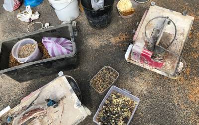 На Ровенщине нашли более 200 кг незаконно добытого янтаря