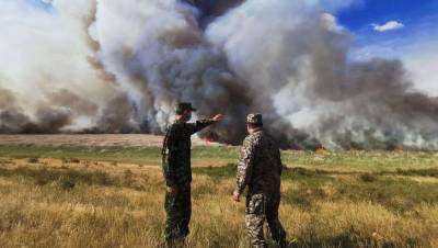 Пожароопасный сезон в разгаре: в каких областях Казахстана полыхают леса и степь