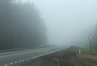 В МЧС предупредили ленинградцев о возможности утреннего тумана