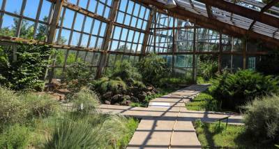 Ботанический сад в Ереване преобразят: что изменится в зеленом оазисе пыльного города - ru.armeniasputnik.am - Армения - Ереван