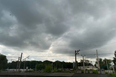 Погода в Рязанской области 14 августа