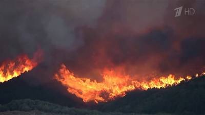 В Калифорнии горит заповедник, расположенный примерно в 50 километрах от Лос-Анджелеса