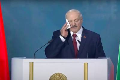 Белорусская оппозиция объявила сбор материалов для суда над Лукашенко