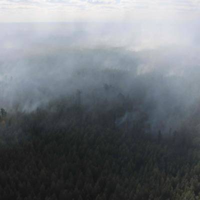 Площадь природных пожаров в Томской области увеличилась в 4 раза