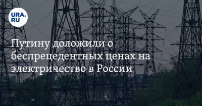 Путину доложили о беспрецедентных ценах на электричество в России