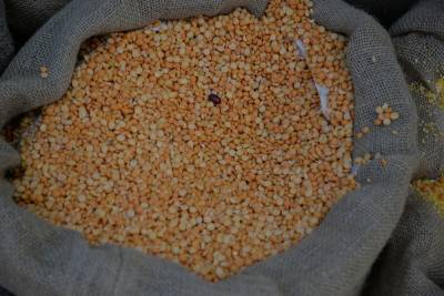Урожайность зерновых в Тульской области составила 42 центнера с гектара