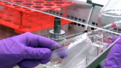 Россию поздравляют с регистрацией первой в мире вакцины от коронавируса