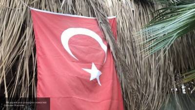 Тела тысяч погибших чаек заполонили озеро Ван в Турции