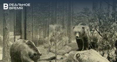 Только на фото: пять исчезнувших видов животных, которые можно увидеть на снимках