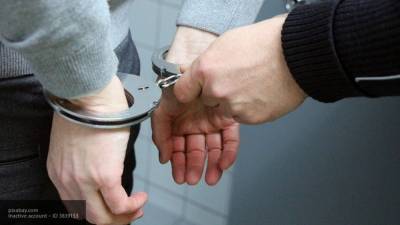 Суд арестовал обвиняемого в нападении на лифтера жителя Домодедова