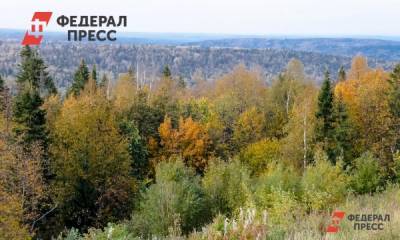 В Нижегородской области высадят более тысячи гектаров леса