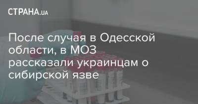После случая в Одесской области, в МОЗ рассказали украинцам о сибирской язве