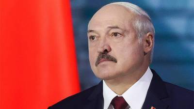 Лукашенко поручил разобраться с задержаниями граждан на протестах