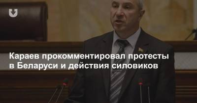 Караев прокомментировал протесты в Беларуси и действия силовиков