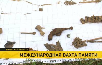 Под Витебском нашли останки солдат Красной армии, фрагменты амуниции и неразорвавшиеся снаряды