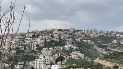 Палестина приняла решение отозвать посла из ОАЭ