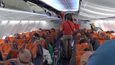 В России хотят изменить правила перевозки малолетних детей в самолетах