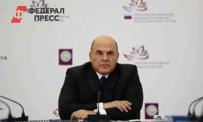 Михаил Мишустин обсудил строительство Баимского ГОКа на Чукотке