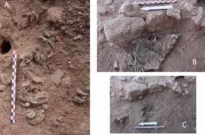 В Израиле нашли следы самой древней кремации на Ближнем Востоке