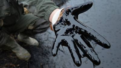 Видео ликвидация последствий разлива нефти у Маврикия