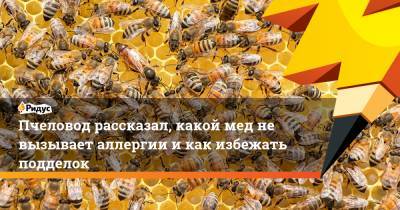 Пчеловод рассказал, какой мед не вызывает аллергии и как избежать подделок