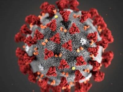 Дезинформация о коронавирусе стоит людям жизни