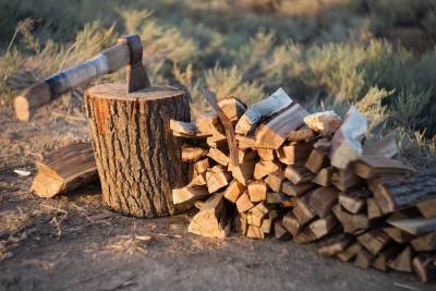 Житель Радищевского района попался на краже дров